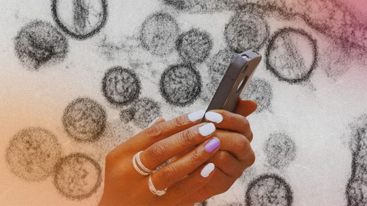 Des applications prétendent aider à détecter l'hantavirus. // Source : Institut Pasteur ; montage Numerama avec Canva
