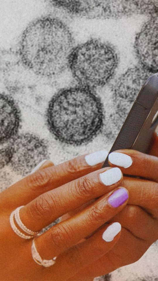 Des applications prétendent aider à détecter l'hantavirus. // Source : Institut Pasteur ; montage Numerama avec Canva