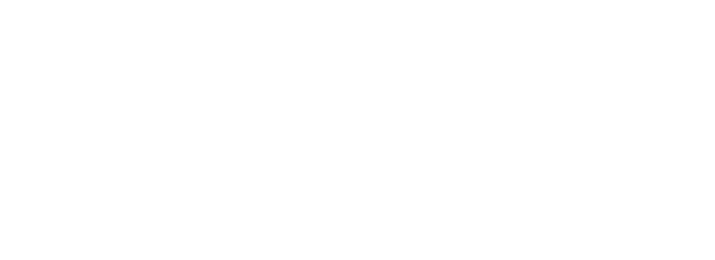logo Polytechnique blanc (1)