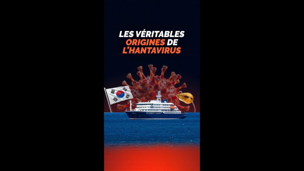 Ce virus ne vient pas d&rsquo;un bateau de croisi&egrave;re
