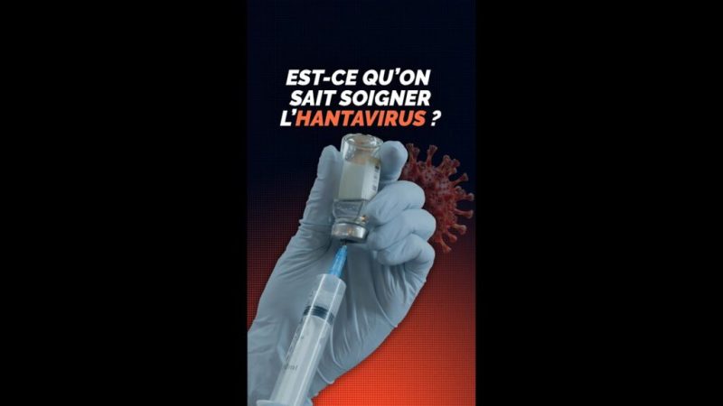 Sait-on déjà soigner l’hantavirus ?