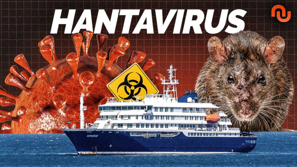 MINIA HANTAVIRUS_V2