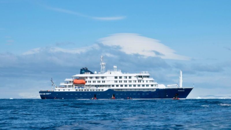 Létalité de 50&nbsp;%&nbsp;: la redoutable souche d&rsquo;hantavirus qui a frappé cette croisière