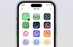 WhatsApp Plus et les icônes. // Source : WABetaInfo