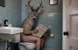 Mi-homme, mi-cerf // Source : Numerama Mi-homme, mi-cerf // Source : Numerama