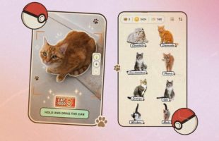 CatchCat invite les joueurs à photographier de vrais chats pour les ajouter à leur collection virtuelle // Source : CatchCat / Numerama
