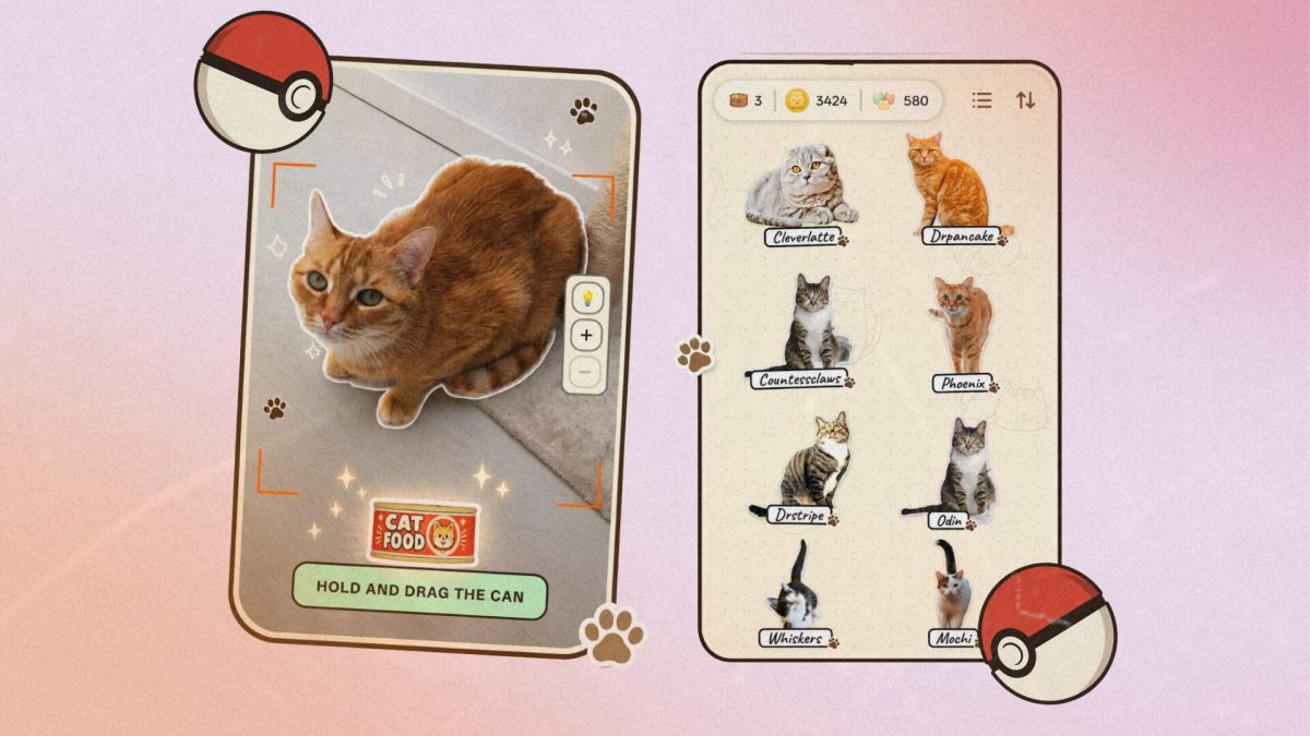 CatchCat invite les joueurs à photographier de vrais chats pour les ajouter à leur collection virtuelle // Source : CatchCat / Numerama