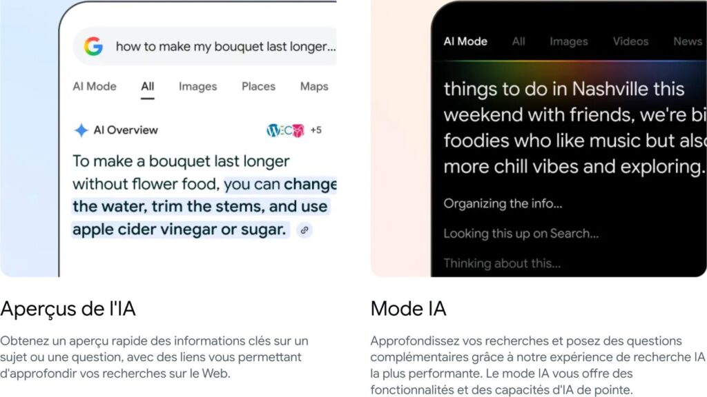 AI Overviews / AI Mode // Source : Google 