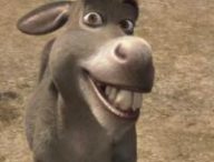L'Ane dans Shrek // Source : DreamWorks