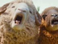 Les Moutons Détectives // Source : Prime Video