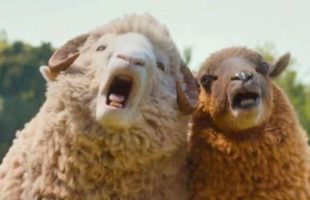 Les Moutons Détectives // Source : Prime Video