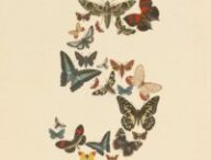 Source : Anthropic