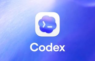 Le logo de Codex. // Source : OpenAI