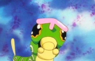Chenipan. Source : Pokémon