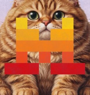 Mistral Le Chaton Fat // Source : Numerama Mistral Le Chaton Fat // Source : Numerama