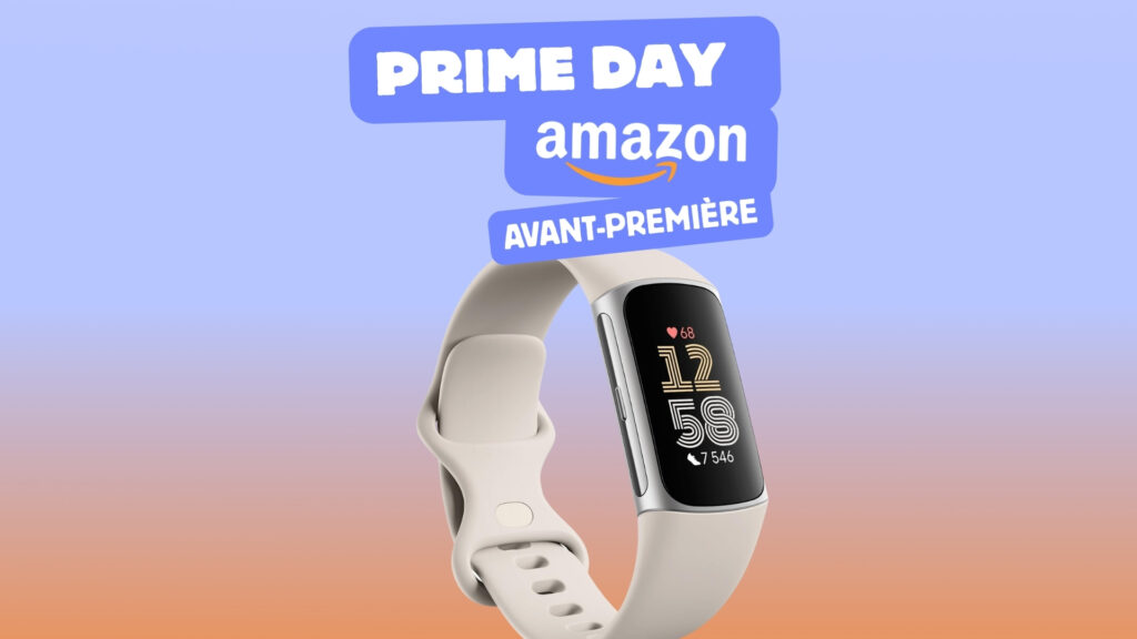Bracelet Google Fitbit Charge 6 Bracelet Google Fitbit Charge 6