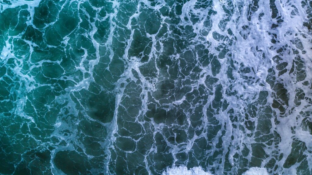 El Niño est une des deux composantes océaniques du phénomène ENSO. // Source : Canva El Niño est une des deux composantes océaniques du phénomène ENSO. // Source : Canva