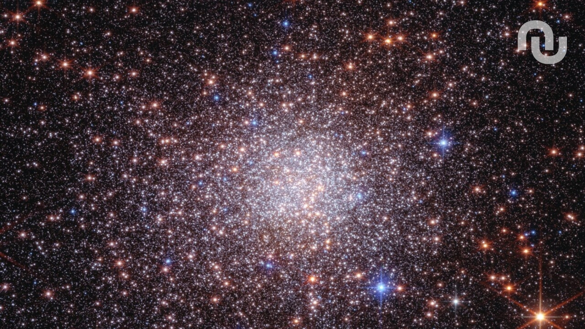 Terzan 5 vue par Hubble et Webb. // Source : ESA/Nasa Terzan 5 vue par Hubble et Webb. // Source : ESA/Nasa