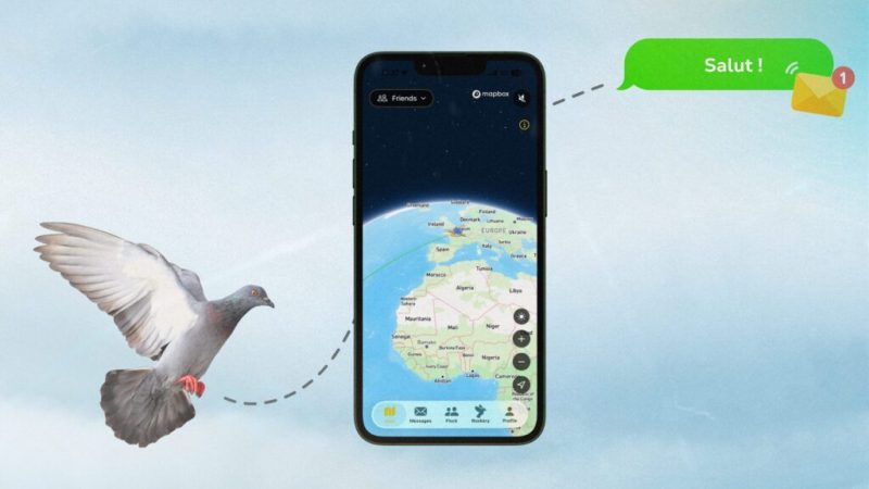 16 jours pour recevoir un message par pigeon voyageur : le drôle de pari du réseau social Roost