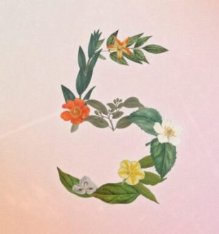 Sonnet 5 // Source : Anthropic / Numerama Sonnet 5 // Source : Anthropic / Numerama