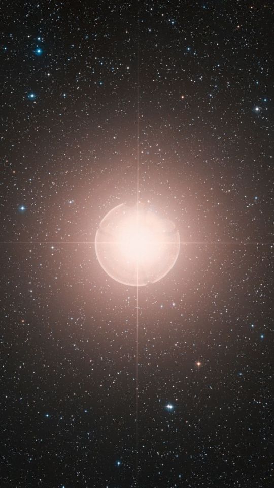Bételgeuse. // Source : ESO/Digitized Sky Survey 2