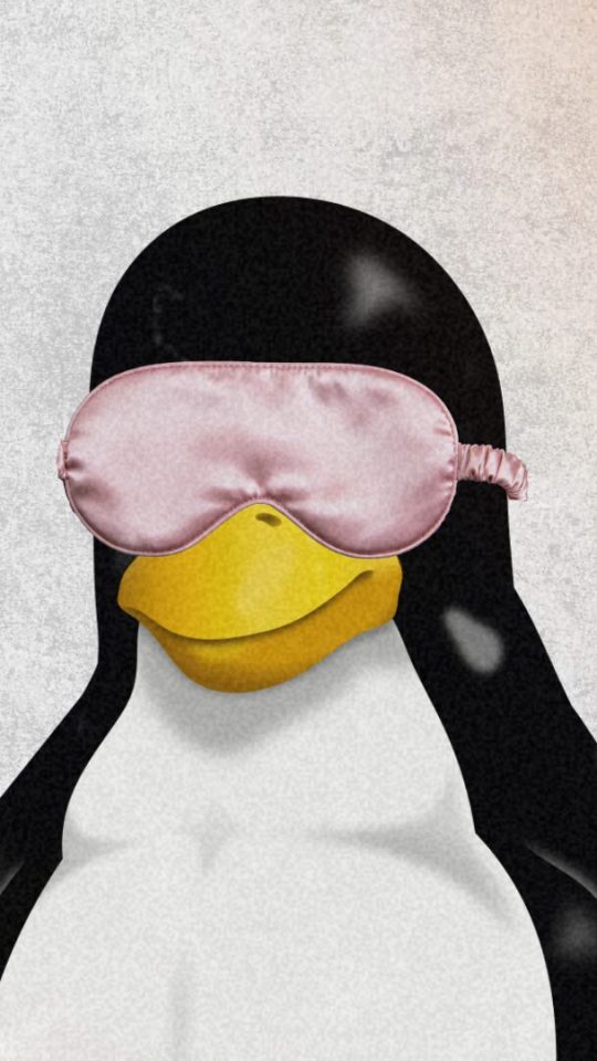 Faille Januscape // Source : montage Numerama Faille Januscape // Source : montage Numerama