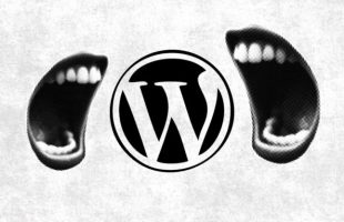 wp2shell // Source : montage Numerama