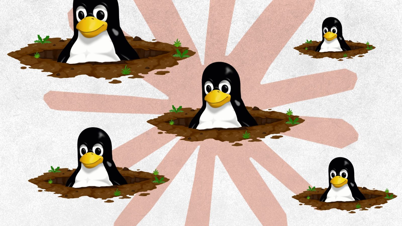 Illustration de l'article