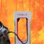 Tesla incendie en Gironde // Source : Montagne Numerama