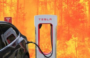 Tesla incendie en Gironde // Source : Montagne Numerama