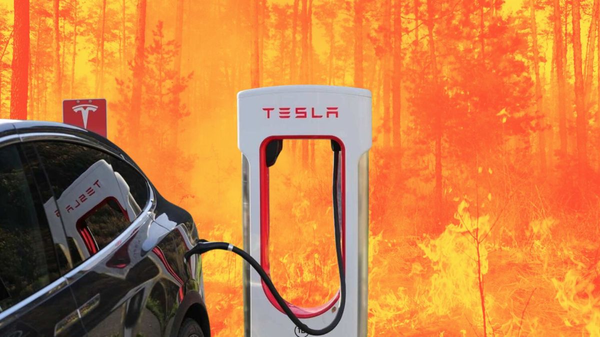 Tesla incendie en Gironde // Source : Montagne Numerama