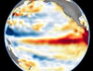 Surface de la mer plus élevée que la normale (en rouge) dans l'océan Pacifique, le 8 juin 2026. // Source : NASA Earth Observatory/Lauren Dauphin Surface de la mer plus élevée que la normale (en rouge) dans l'océan Pacifique, le 8 juin 2026. // Source : NASA Earth Observatory/Lauren Dauphin