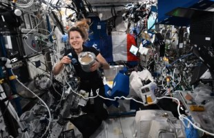 Sophie Adenot et le Food Processor. // Source : ESA