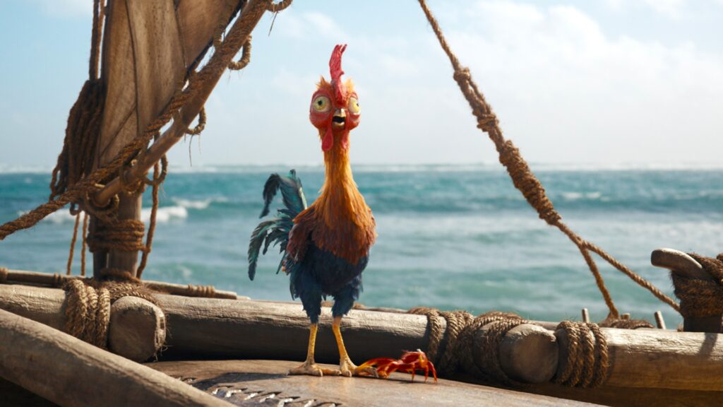 Rooster Heihei in Disney's live-action MOANA. Photo courtesy of Disney. © 2026 Disney Enterprises, Inc. All Rights Reserved. Rooster Heihei in Disney's live-action MOANA. Photo courtesy of Disney. © 2026 Disney Enterprises, Inc. All Rights Reserved.