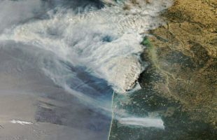 Incendies en Gironde. // Source : Via X @DorianDziadula (image recadrée) Incendies en Gironde. // Source : Via X @DorianDziadula (image recadrée)