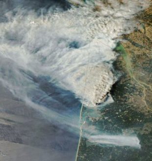 Incendies en Gironde. // Source : Via X @DorianDziadula (image recadrée) Incendies en Gironde. // Source : Via X @DorianDziadula (image recadrée)
