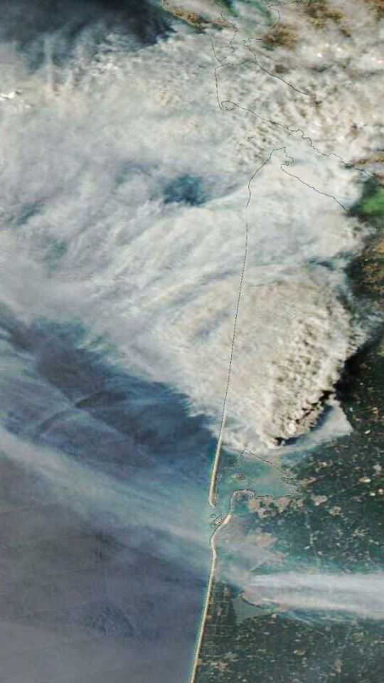 Incendies en Gironde. // Source : Via X @DorianDziadula (image recadrée)