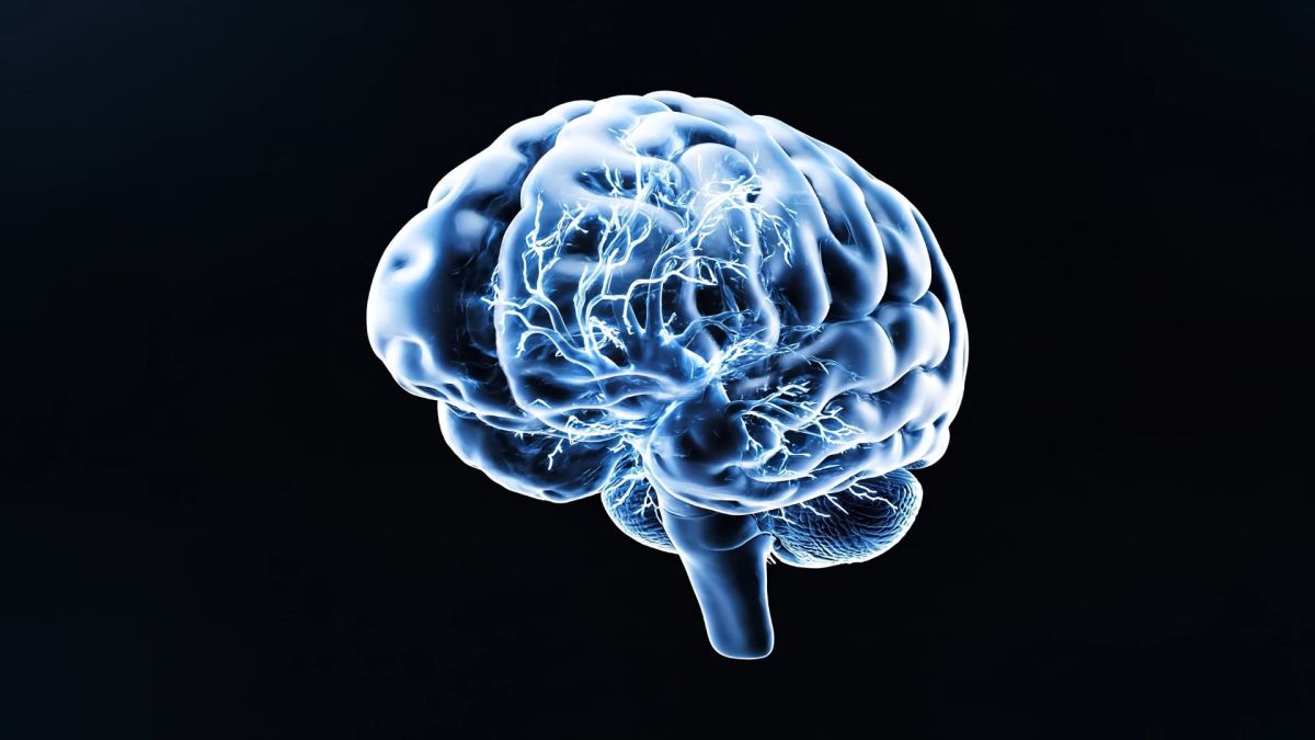 Représentation du cerveau humain. // Source : Via YouTube Neuralink Représentation du cerveau humain. // Source : Via YouTube Neuralink