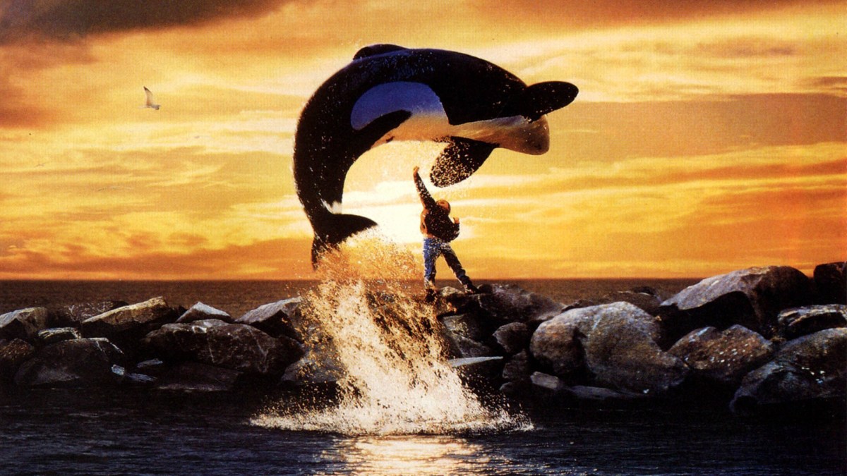 Sauvez Willy // Source : Warner
