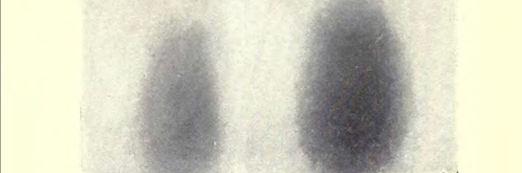 photogravure rayon n