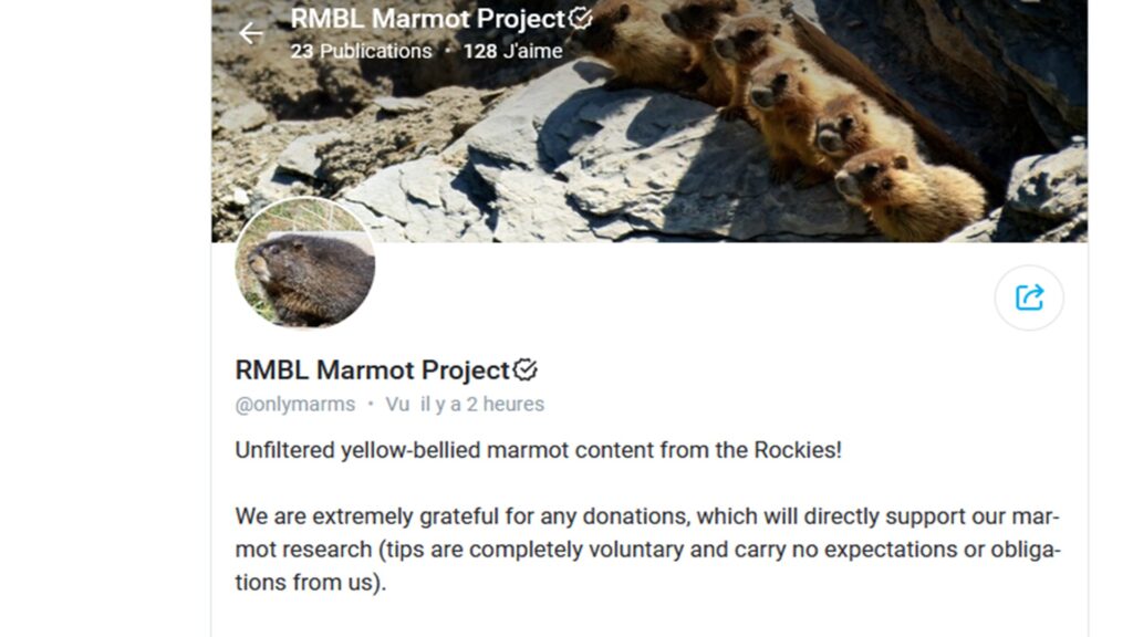 Le compte OnlyMarms vise à attirer l'attention du grand public.