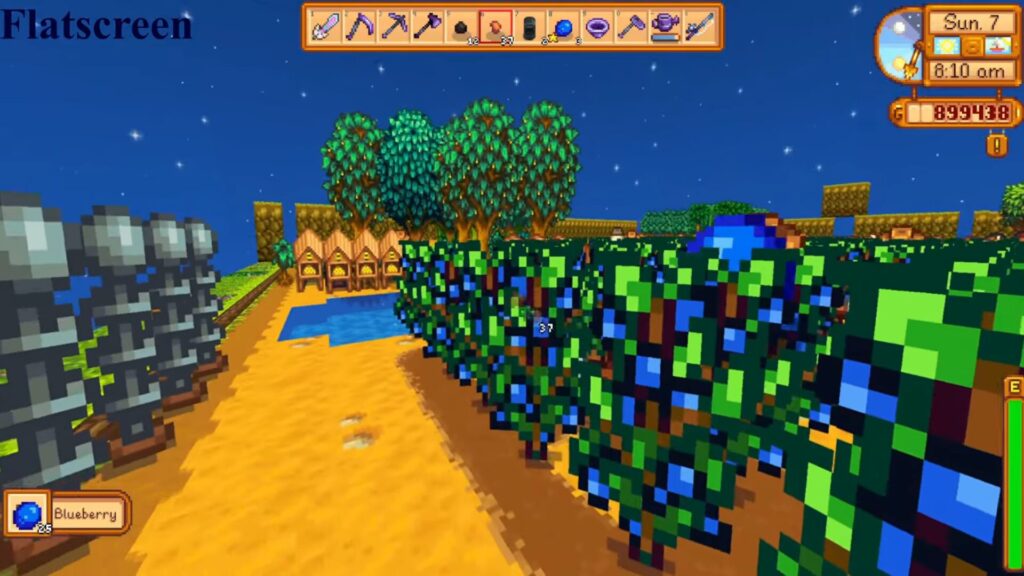  Stardew Valley - The Third Dimension // Source :  kittycatcasey