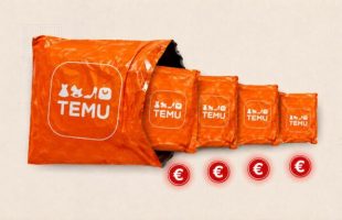 Temu // Source : Numerama / Temu