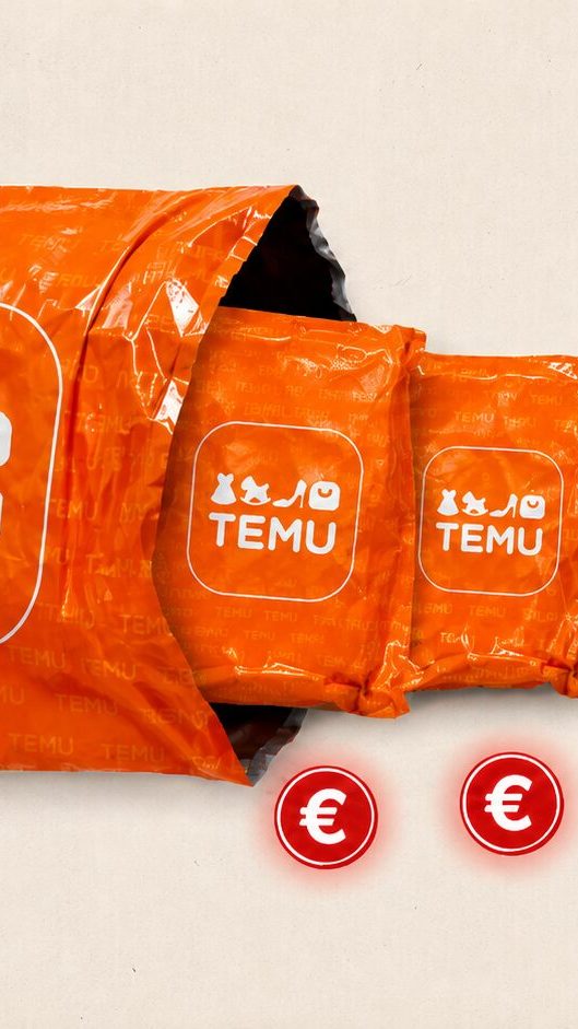 Temu // Source : Numerama / Temu Temu // Source : Numerama / Temu