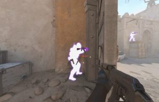 Wallhack Counter Strike // Source : Reddit Wallhack Counter Strike // Source : Reddit