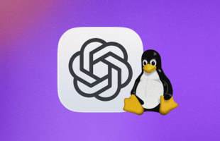 ChatGPT débarque enfin sur Linux avec Work et Codex // Source : OpenAI / Linux