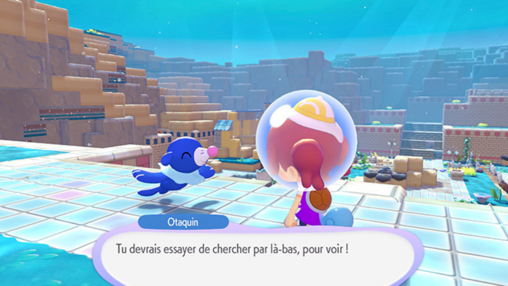 Un Otaquin vous montrera le chemin.  // Source : Nintendo 