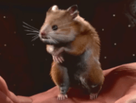 Des séquences rares de Baldur's Gate 3 // Source : YouTube Larian Studios Des séquences rares de Baldur's Gate 3 // Source : YouTube Larian Studios