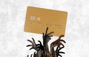 faille visa // Source : montage Numerama faille visa // Source : montage Numerama