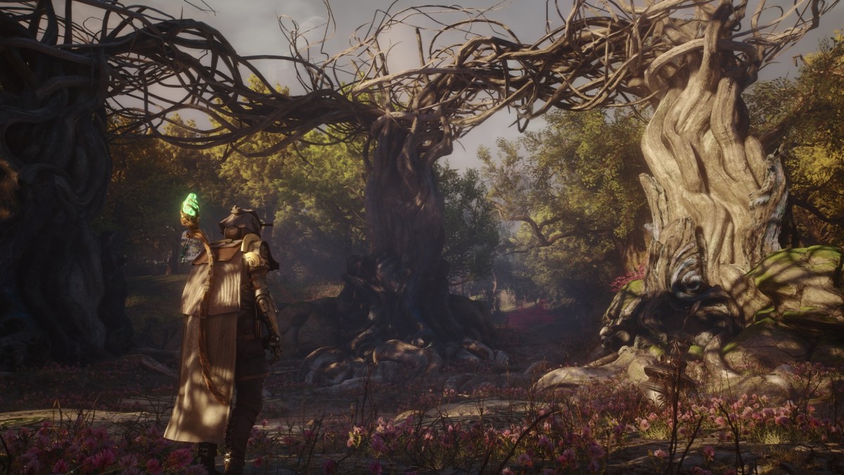 Soulframe // Source : Digital Extremes